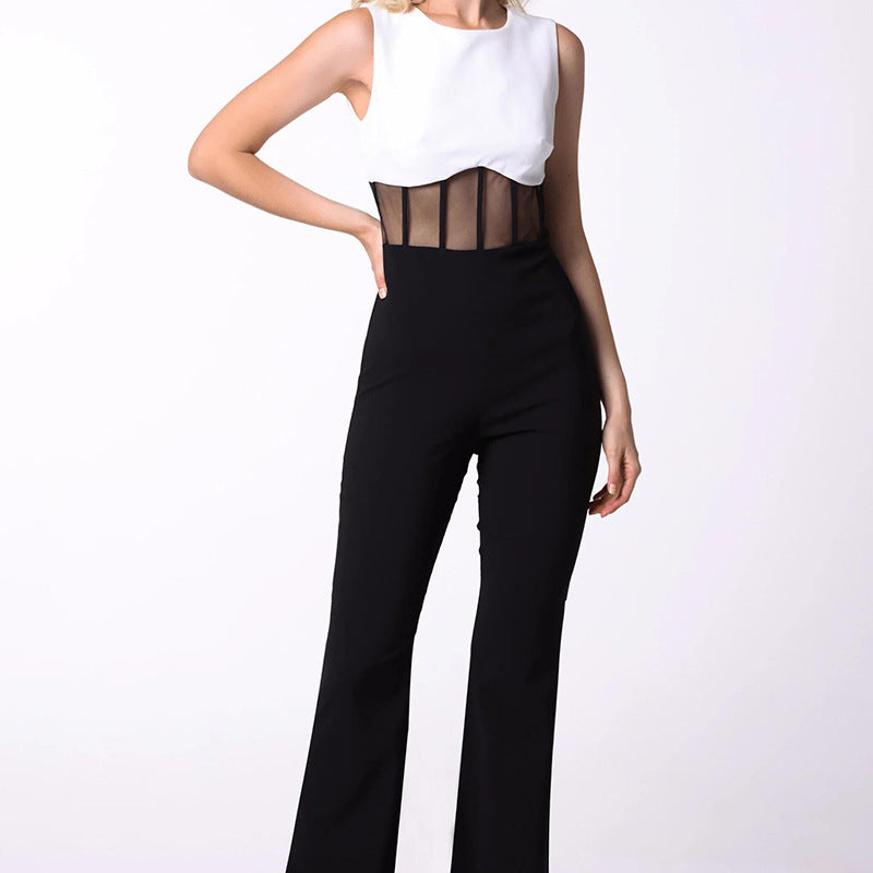 Sleeveless Sheer Panel Jumpsuit