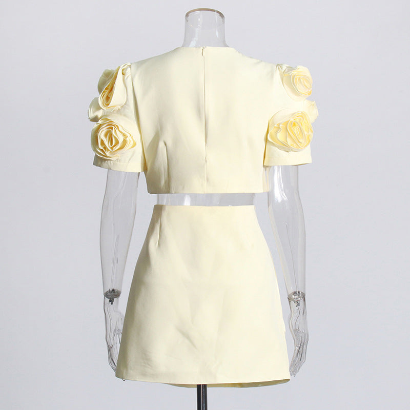 3D Floral Appliqué Puff-Sleeve Crop Top and Skirt Set - Chiccharm